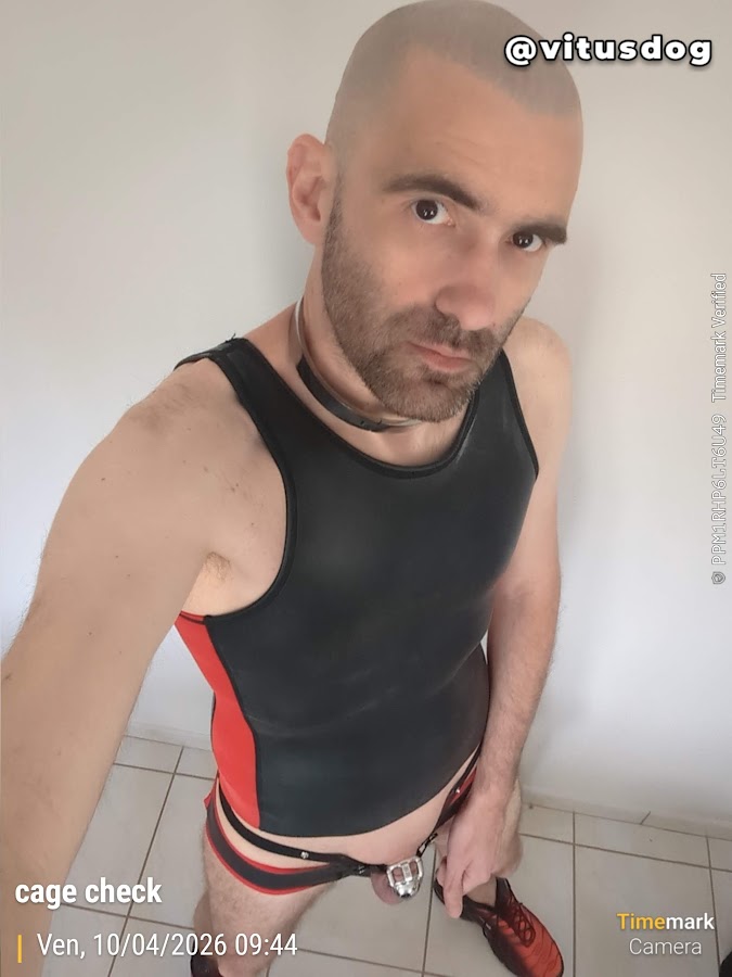vitusdog's tweet photo. The boss is absent but has access to the cameras to monitor his slave and check the chastity cage. New cage, smaller and more secure. #gaychastity #cageCheck  #teamlocked #malechastity https://t.co/VcqEjCknPP