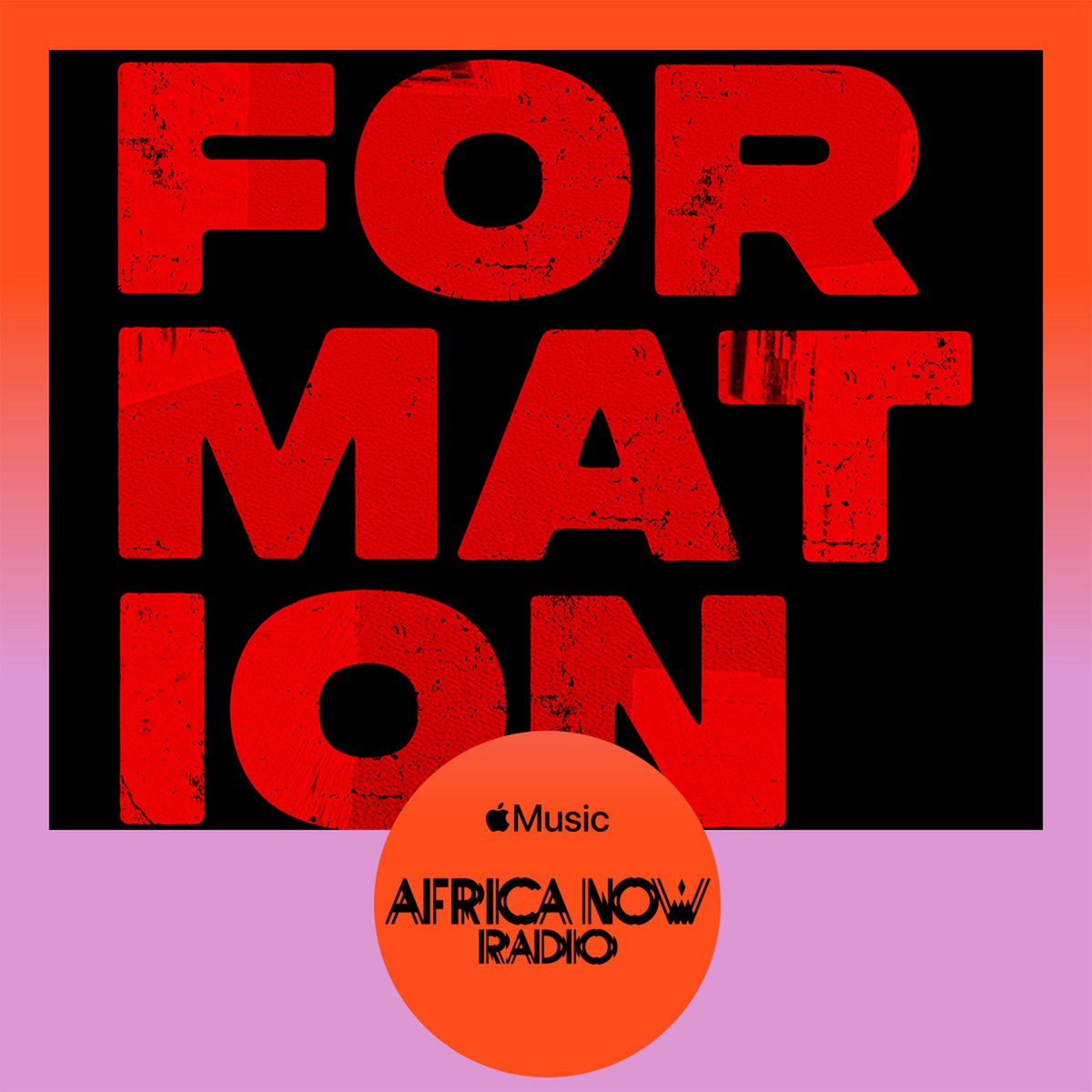 BIG FISH FAMILY 🦈 tweet media