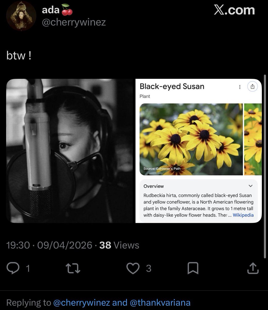 detached tweet media