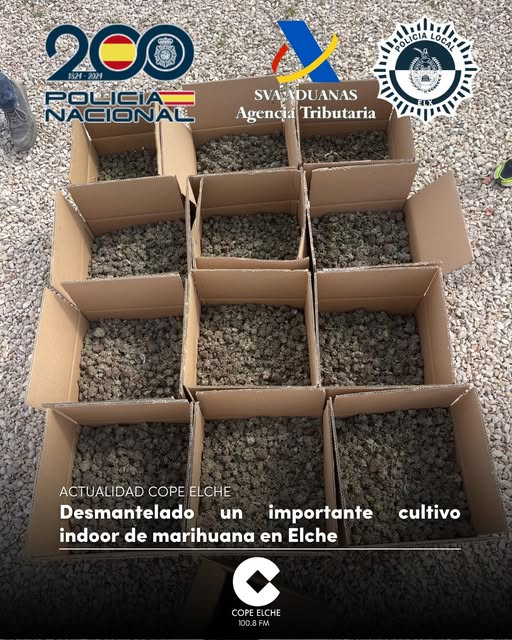 COPE Elche tweet media