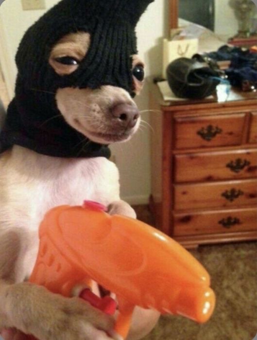 ei0.0❀ུ۪ tweet media