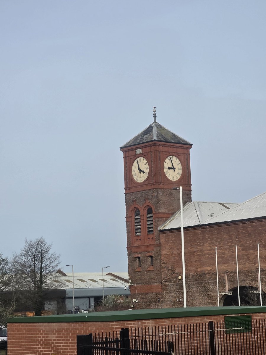 Пътешественикът tweet media