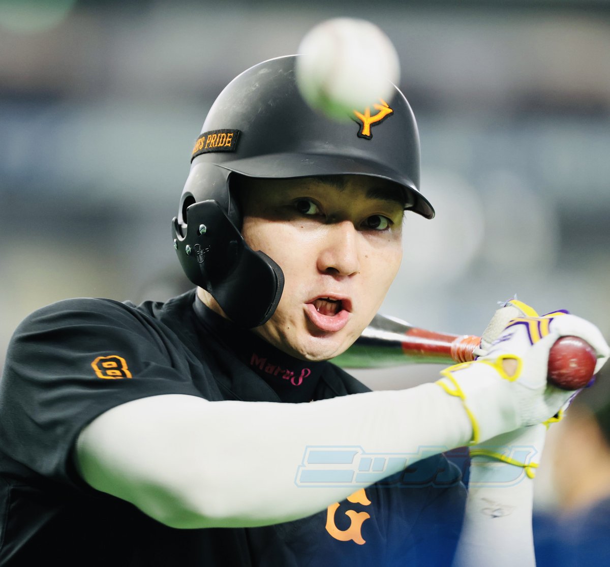 日刊スポーツ 巨人担当 tweet media