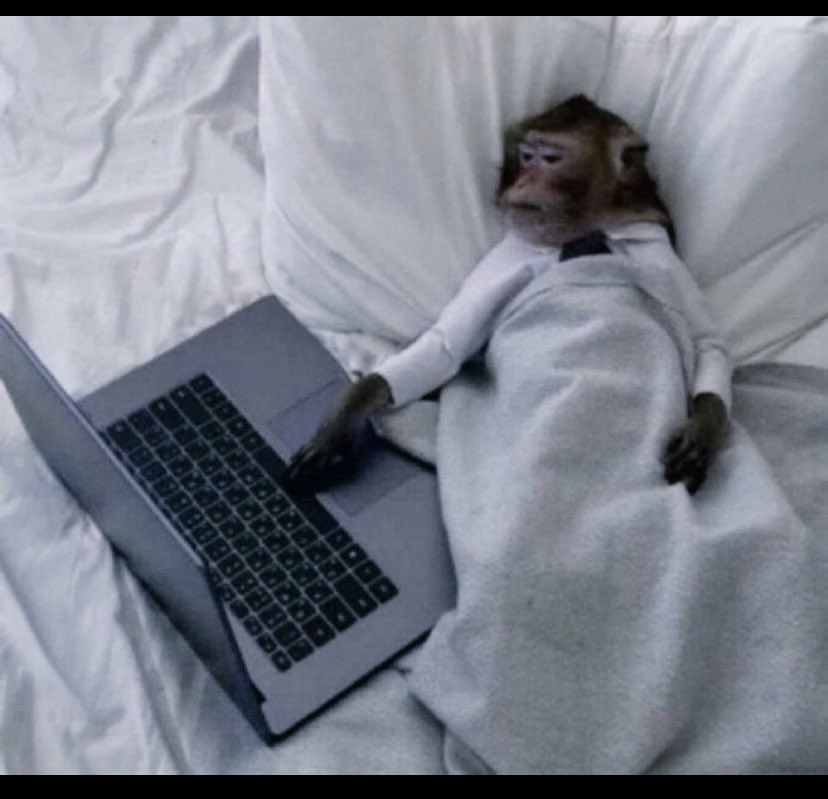 Web3 Jane tweet media