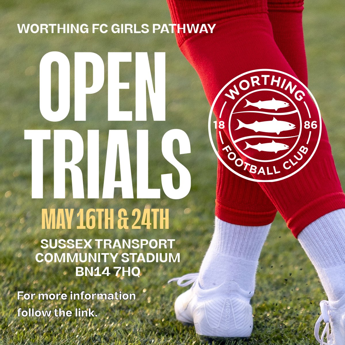 Worthing FC Women tweet media