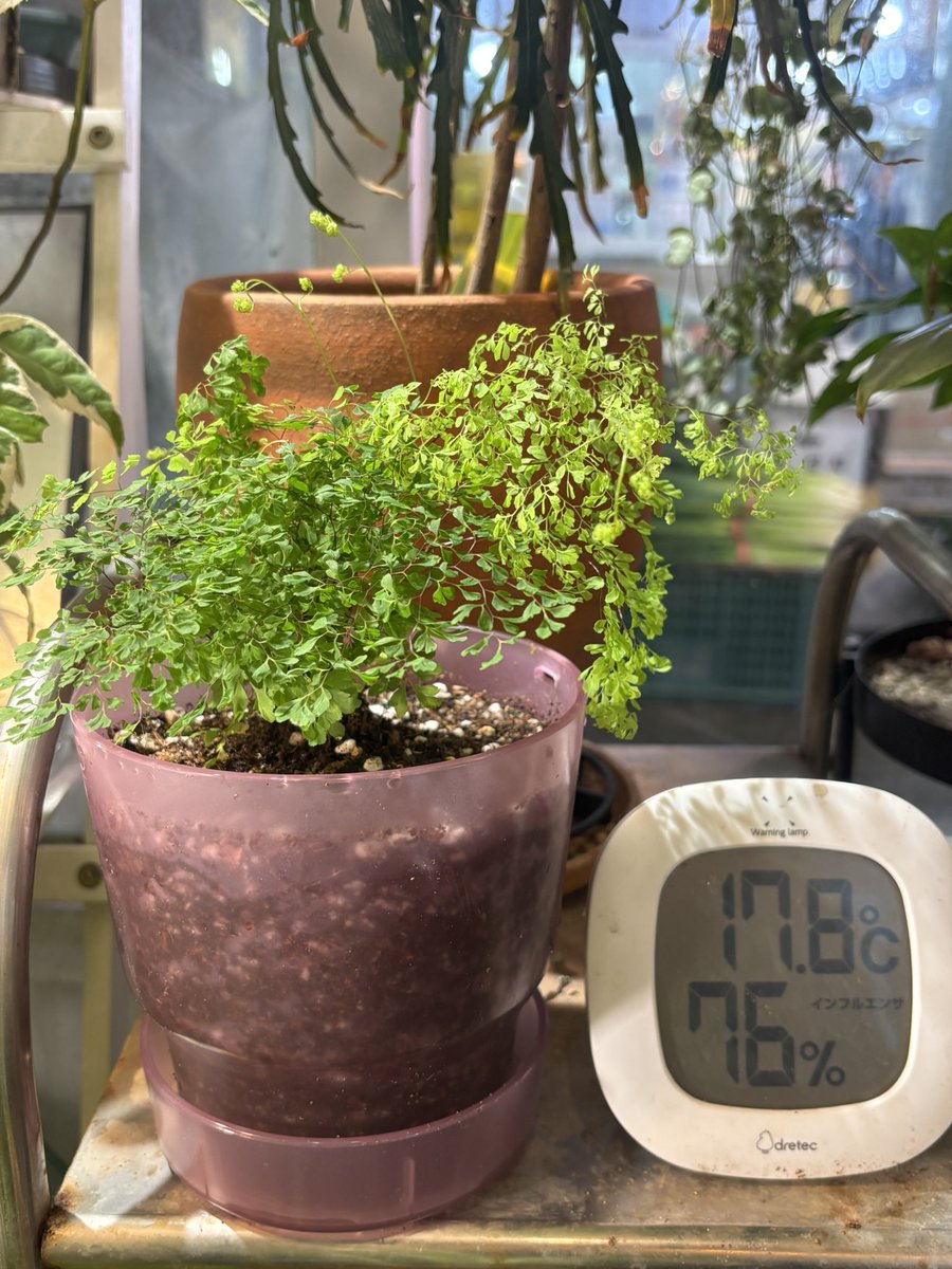 불만많은 애 tweet media