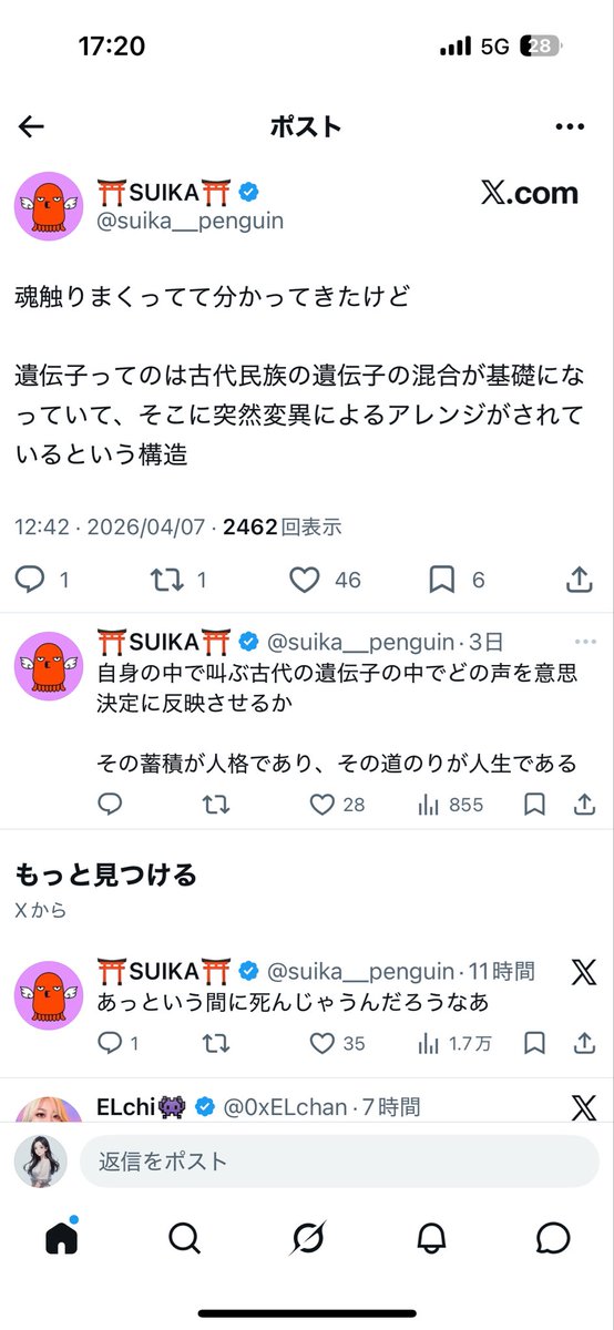 すわんわん tweet media