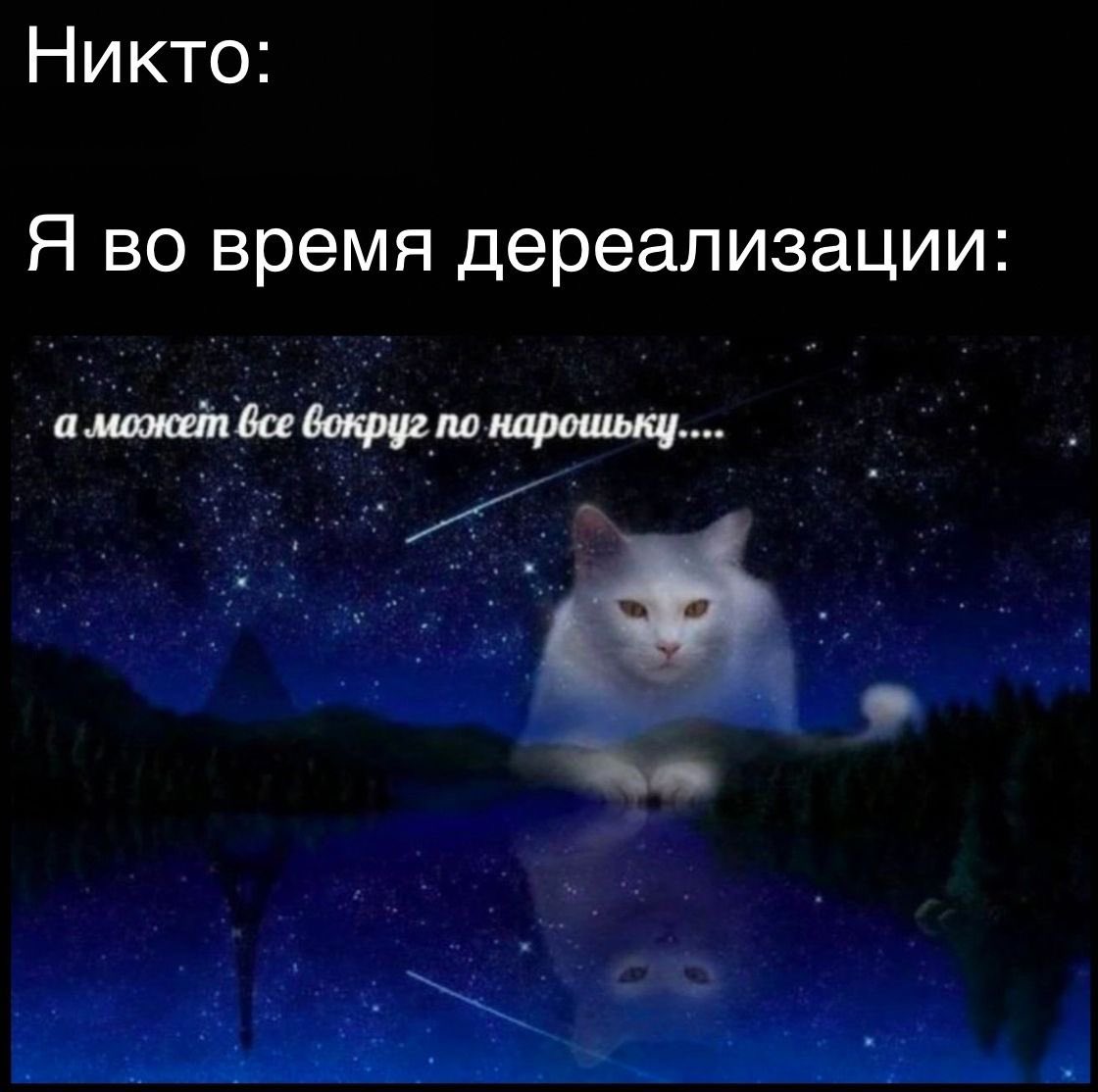 rushnitskaya2's tweet photo. https://t.co/zMZ96JyTsI