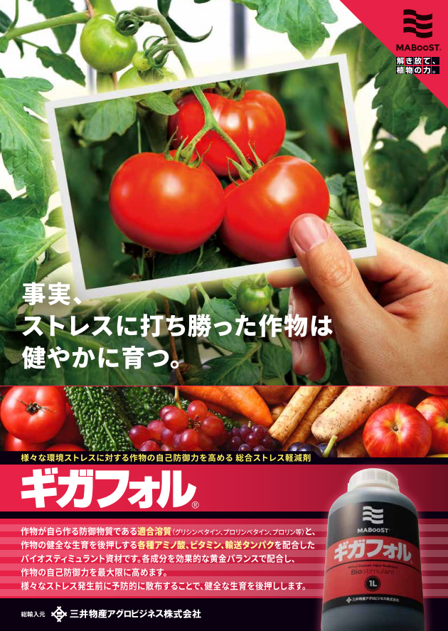🍅 4月10日は #よいトマトの日

「夏の高温で樹が弱り、秋に思うように獲れない…」
そんな声が年々増えています。

実は近年、秋のトマトは相場が上がり、夏場に比べて価格が2～3倍になるケースも。
だからこそ――
👉 夏の高温ストレス対策が、秋の収量・品質、そして収益を左右する時代です。