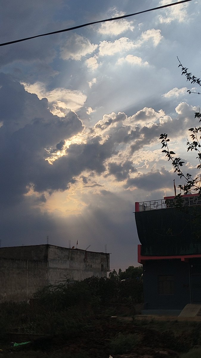 CHOTA CHUHA (EVOLVED) tweet media