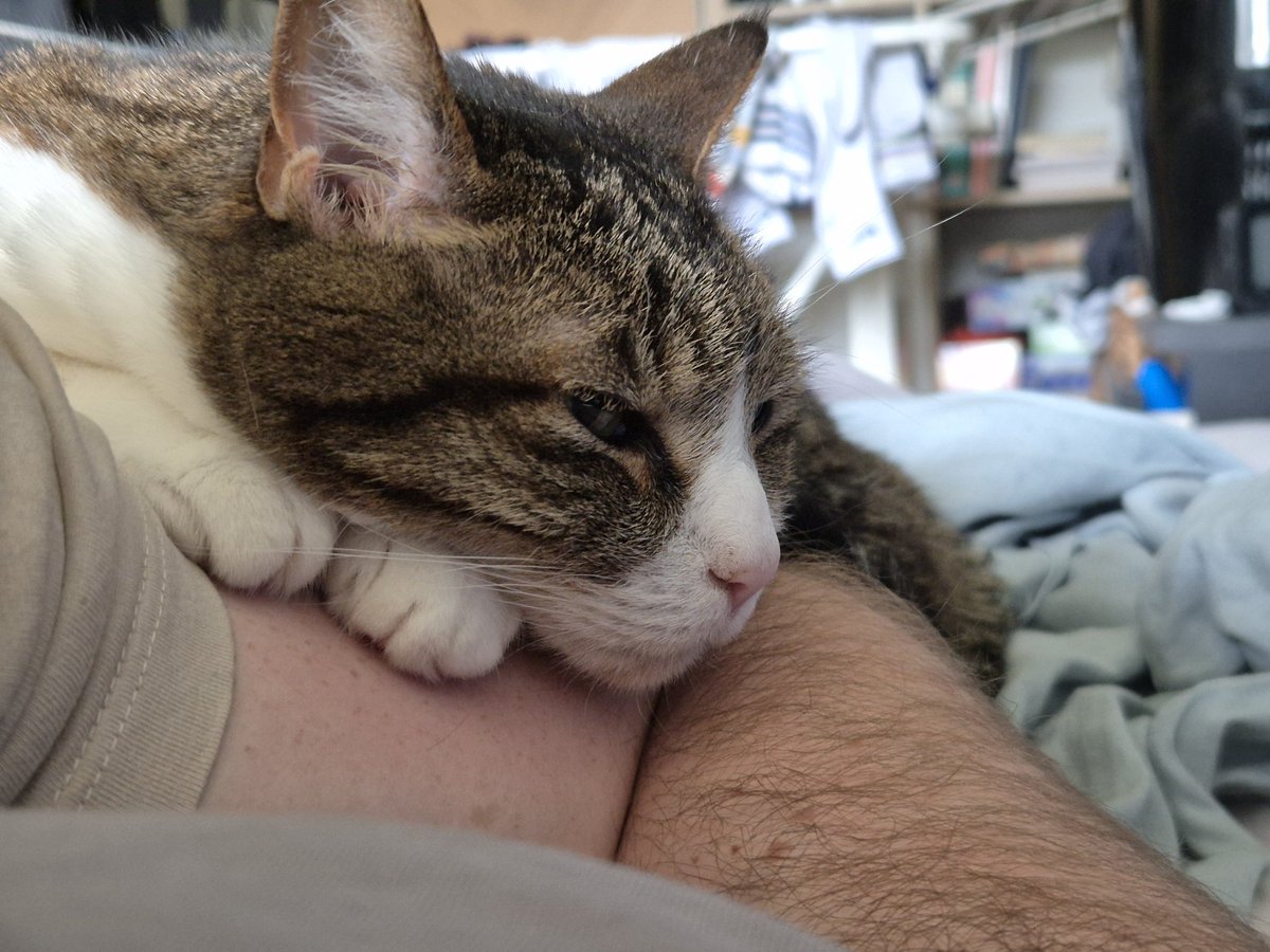 Utah Fashion Wife tweet media