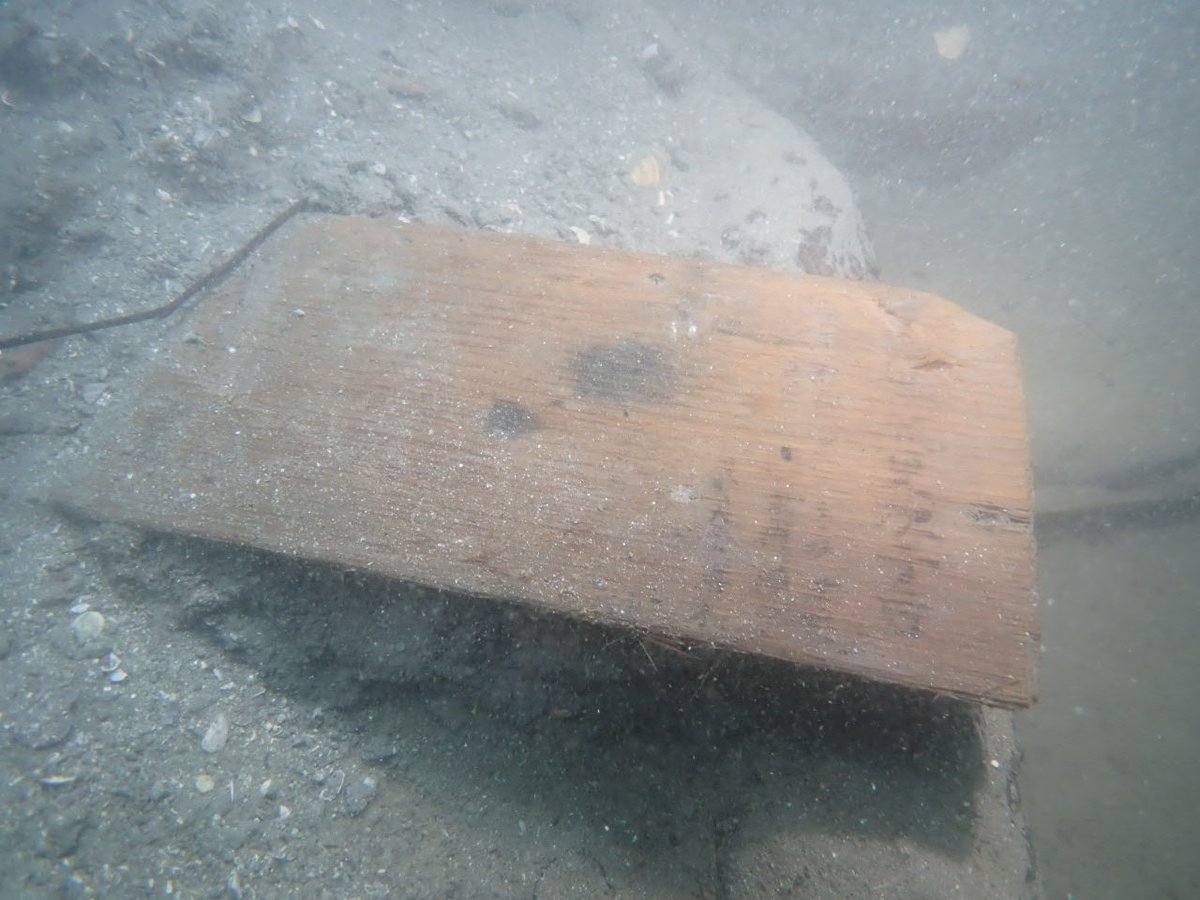 松浦市立埋蔵文化財センター【公式】 tweet media