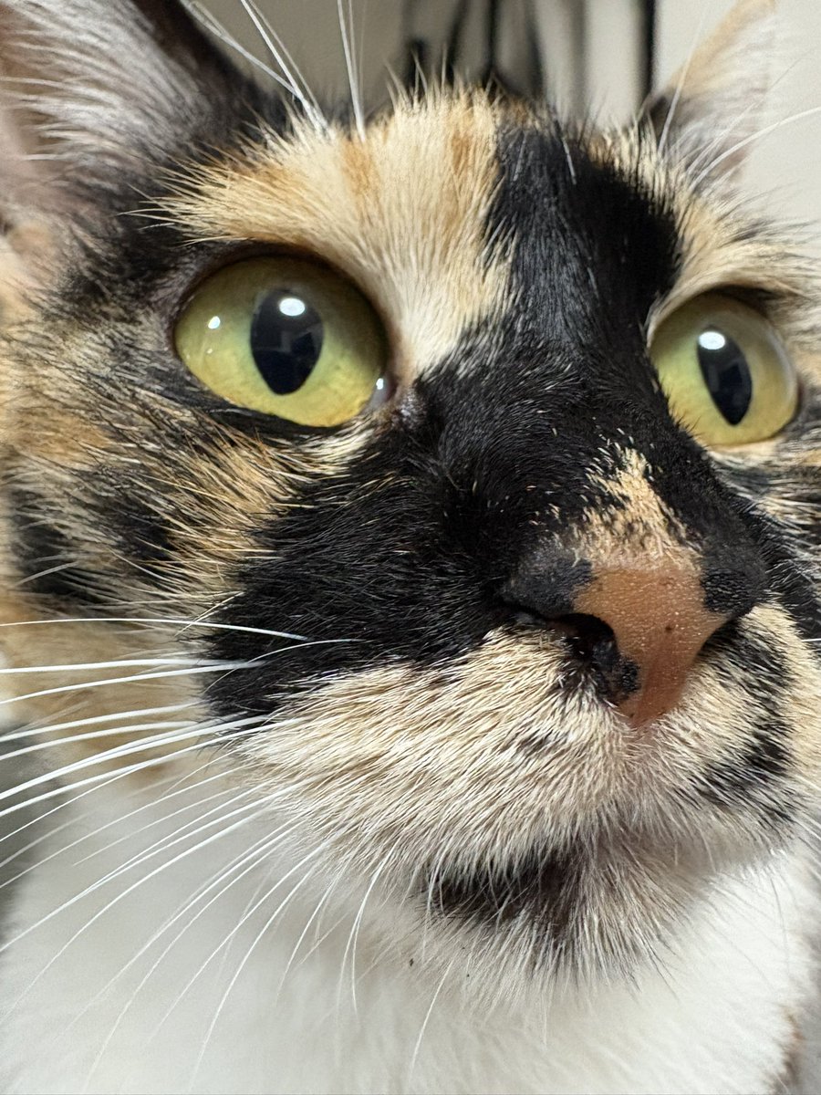 丸山永司（まるやまえいじ） tweet media