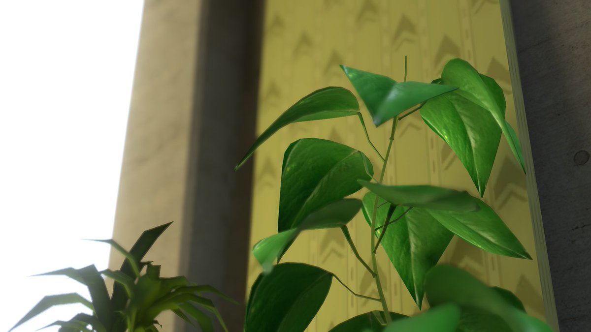 Shu-Stella🔞 tweet media