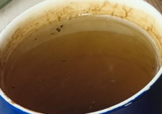 lost toast tweet media