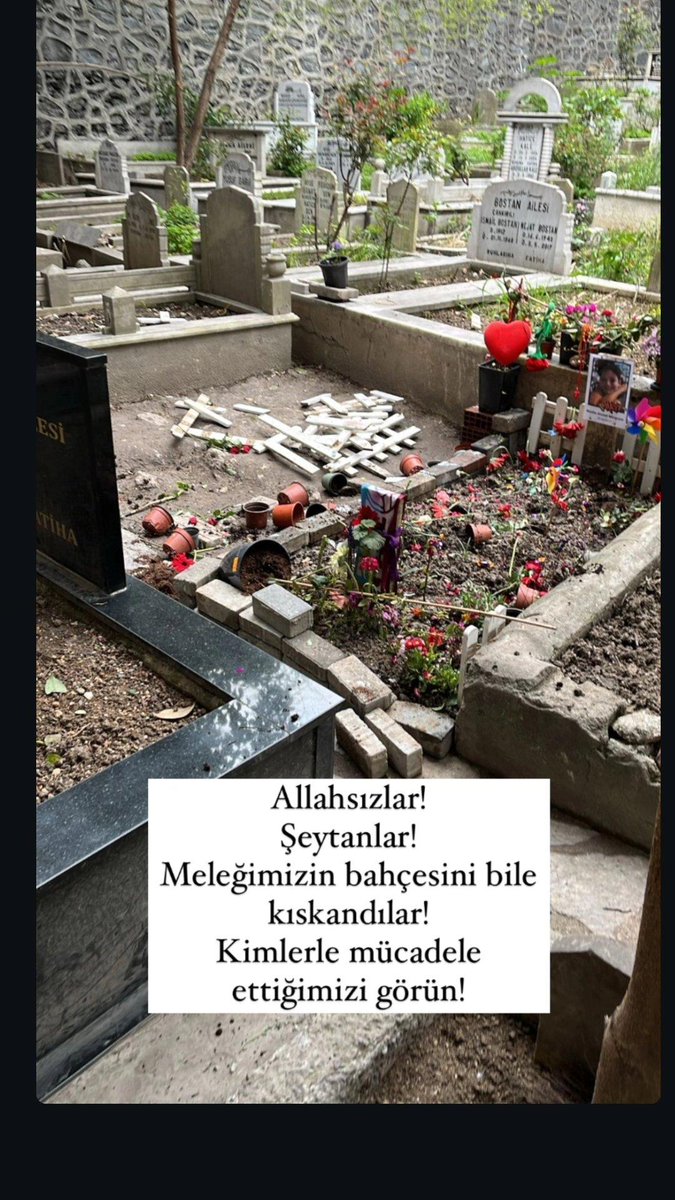 Ziya Karacan tweet media