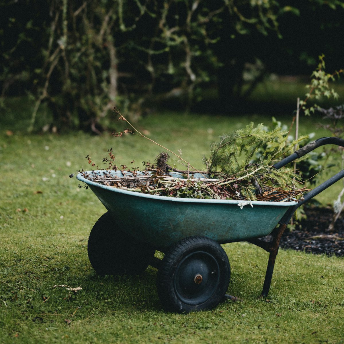 KindsofCatholic's tweet image. Was Our Lord being very direct with Christopher? 'It was all quite surreal. I broke my glasses walking into a fence post while I was wielding a wheelbarrow and I kept banging my head. I finally decided God didn't want me there.'   #FaithJourney

🎧️buff.ly/2hmMNJu