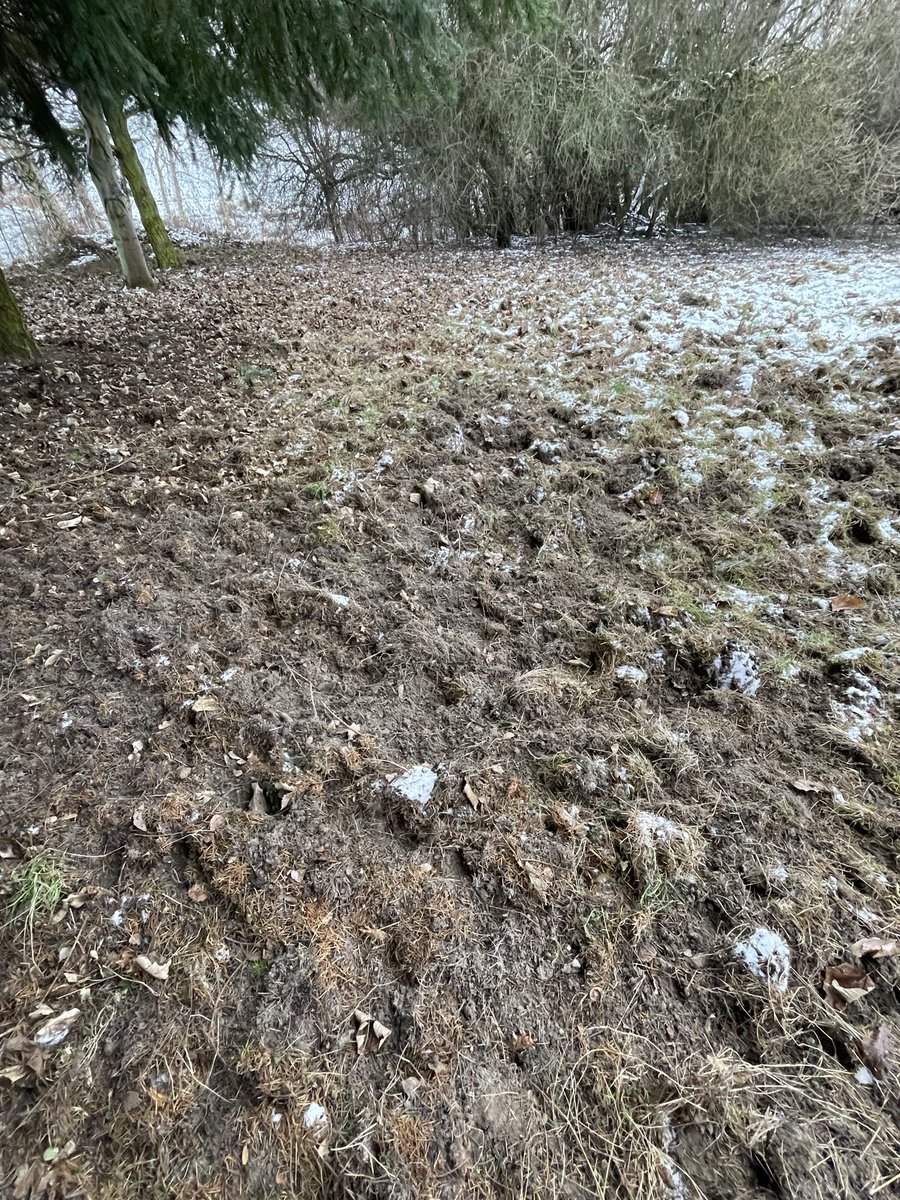 Lord Edmund Blackadder tweet media