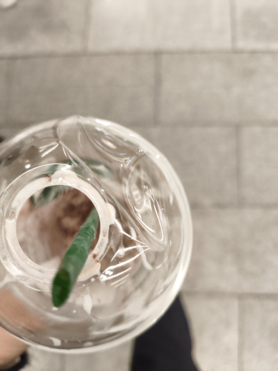 うがが tweet media