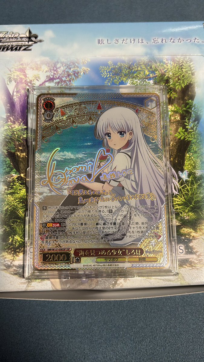 ベルクーリ@WS☄️🏮 tweet media