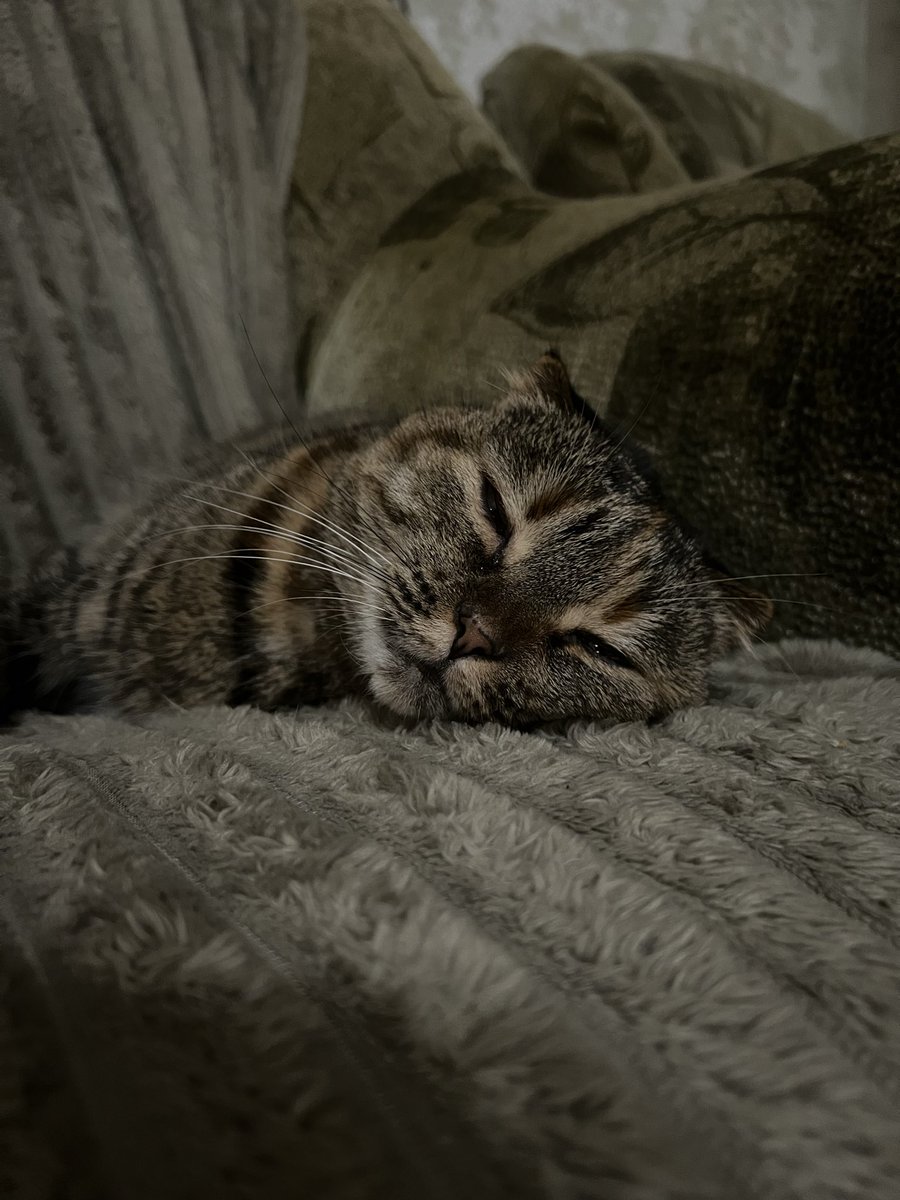 Mykyta UwU tweet media