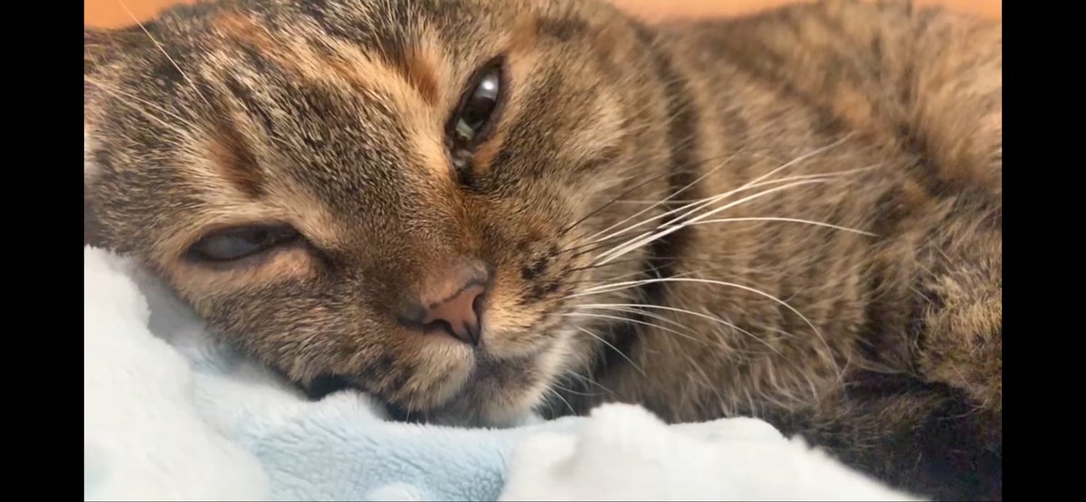 Mykyta UwU tweet media