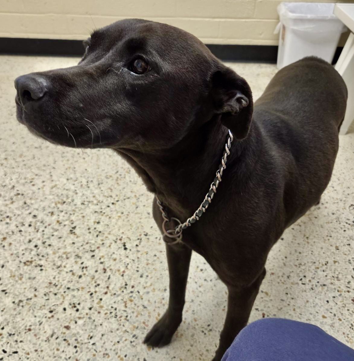 Donna Lac tweet media