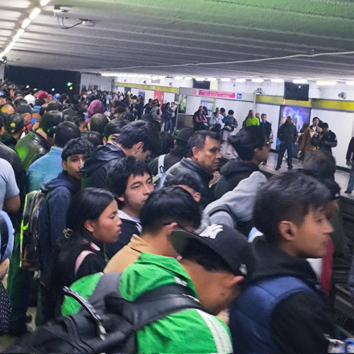 Jesús Anaya tweet media