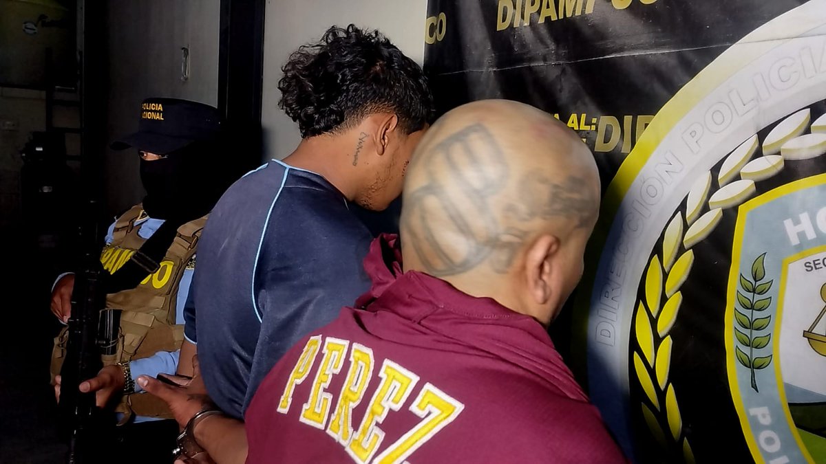 D.I.P.A.M.P.C.O tweet media