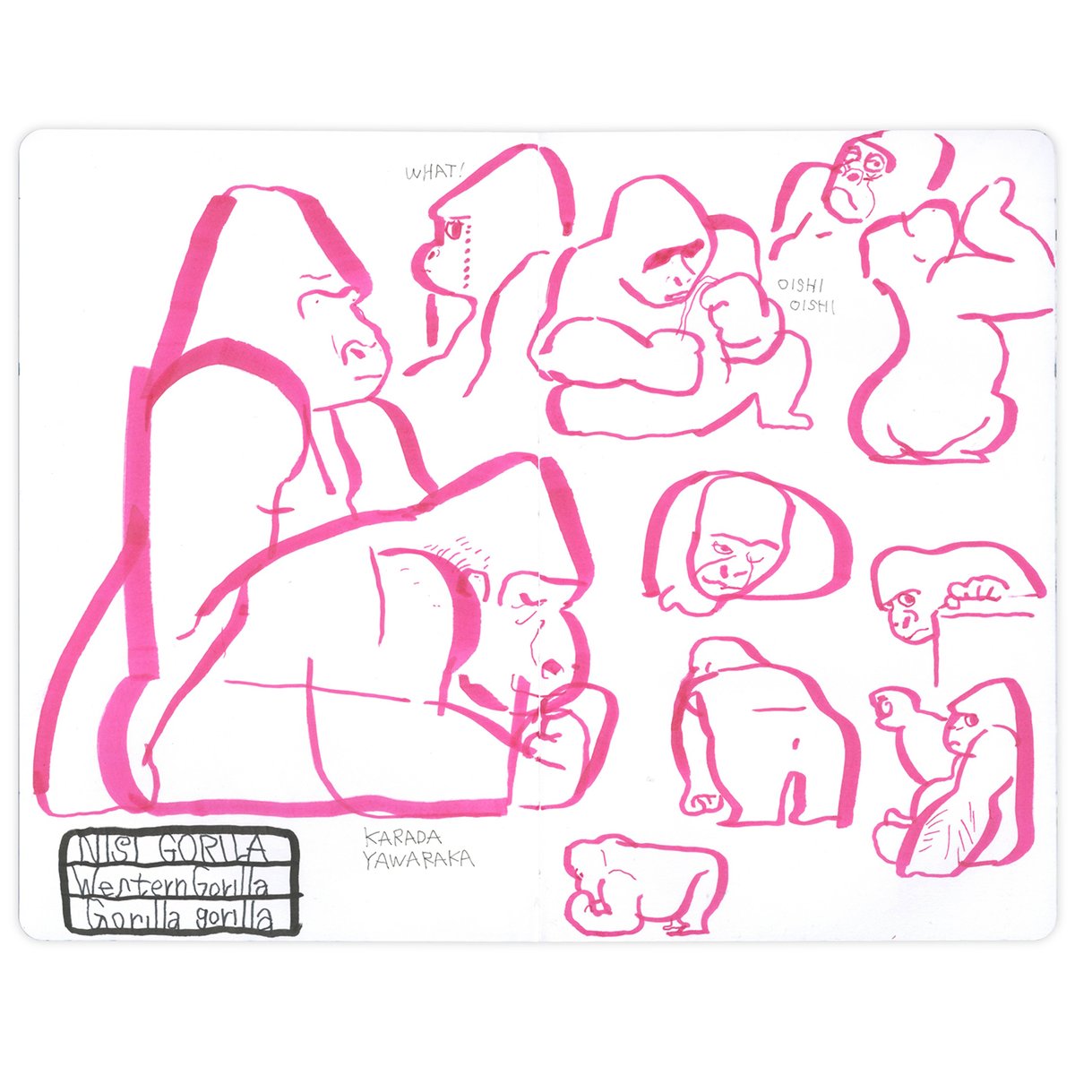 タケウマ tweet media