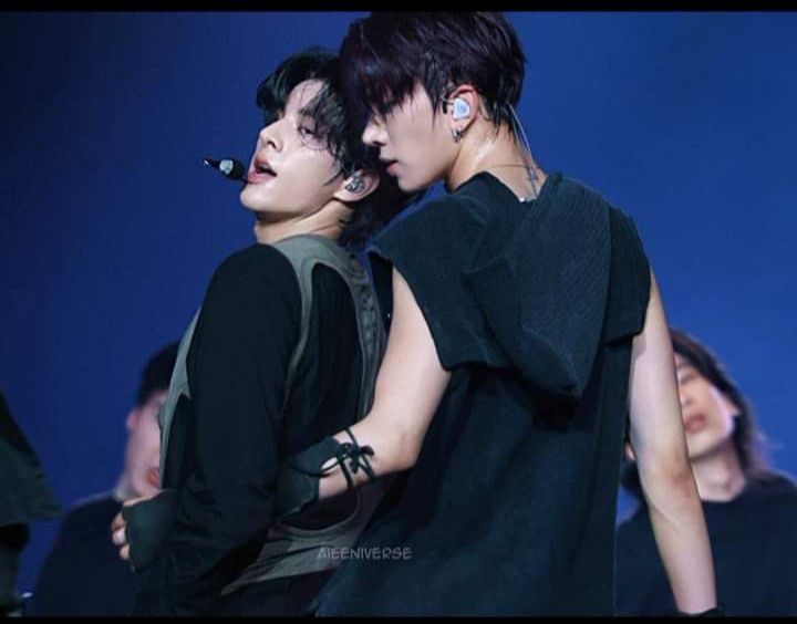 DIANA: ENHYPEN IS 7 tweet media