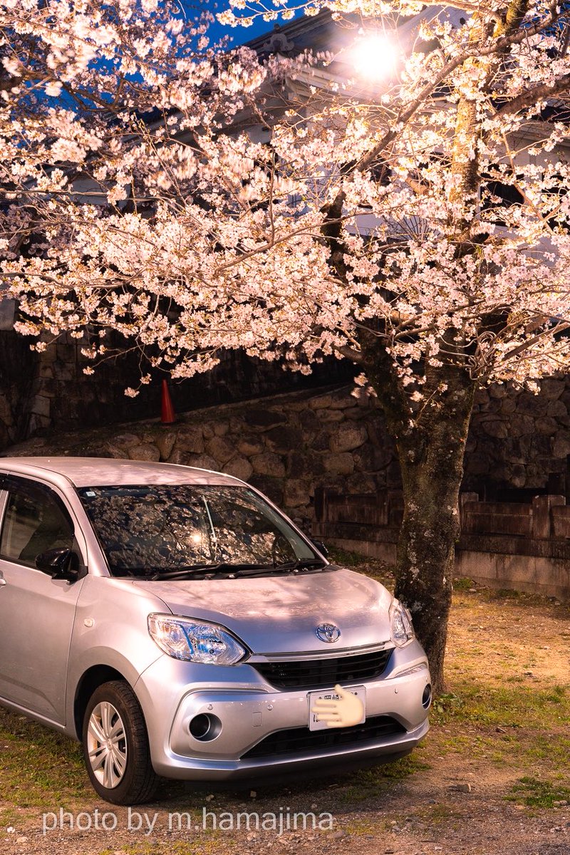 はまじ tweet media