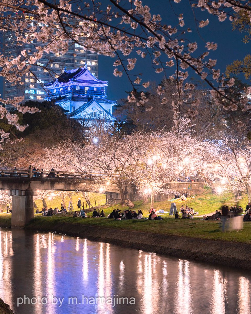 はまじ tweet media