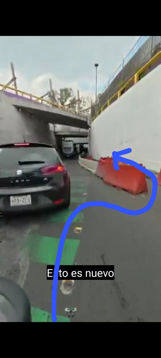 Zelda Mikkelsen tweet media