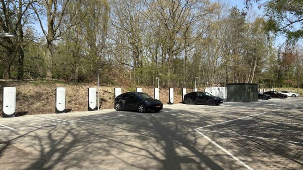 kayvan sabouri tweet media