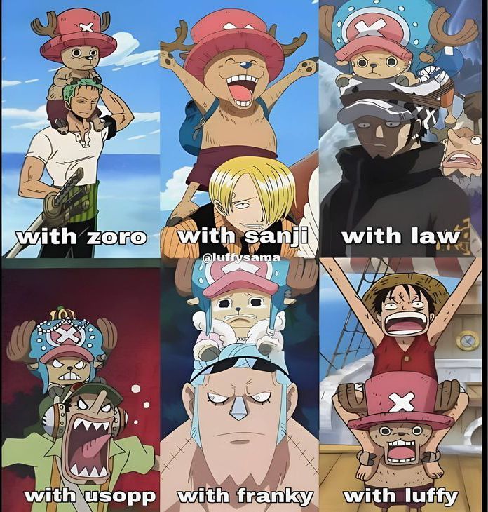 One Piece Daily tweet media