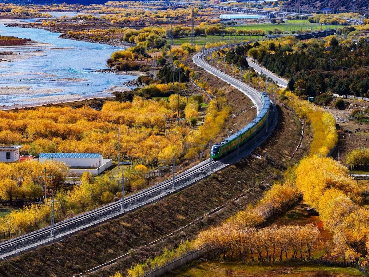 漠然 （互fo） tweet media