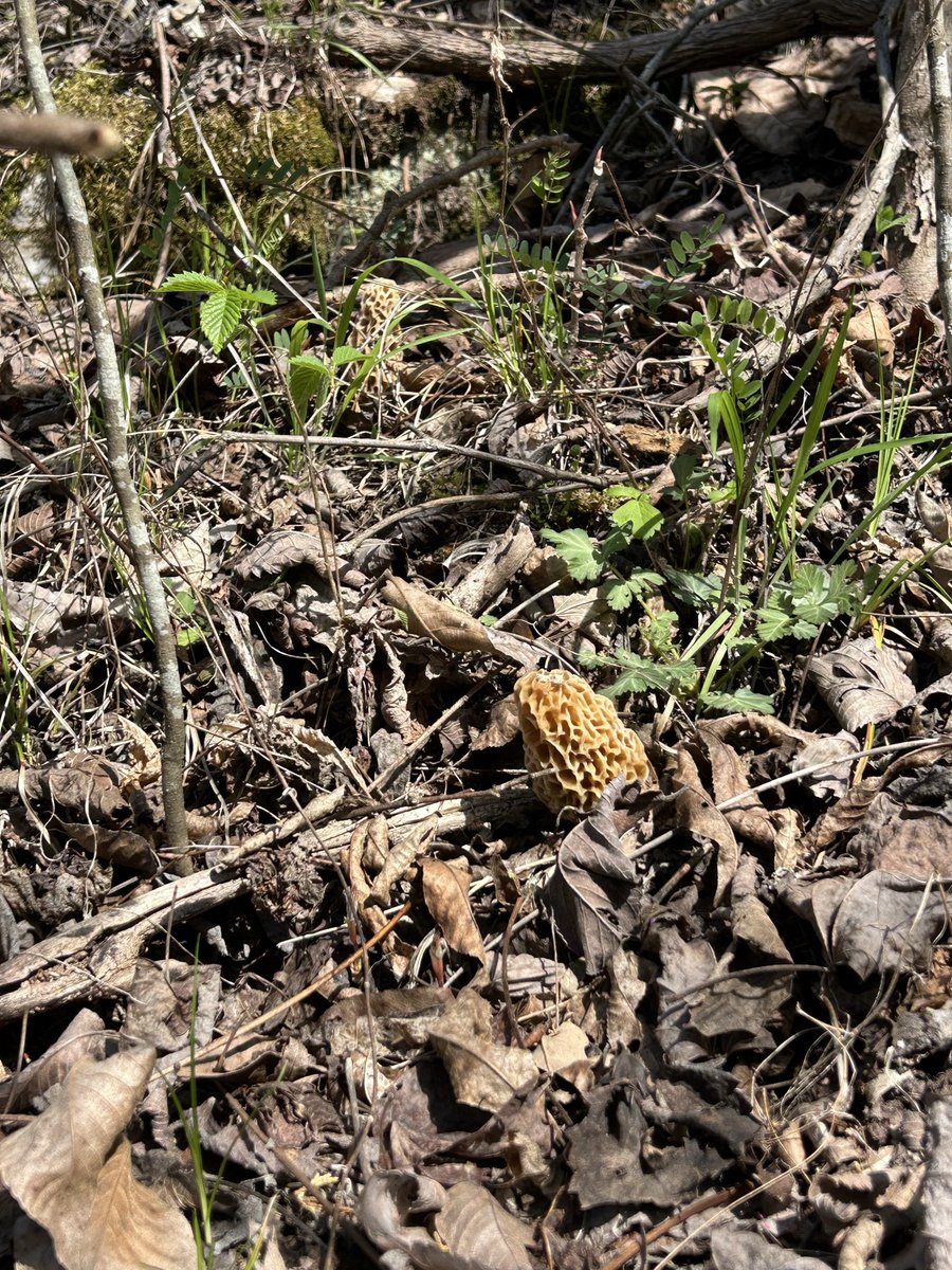 David Clardy tweet media