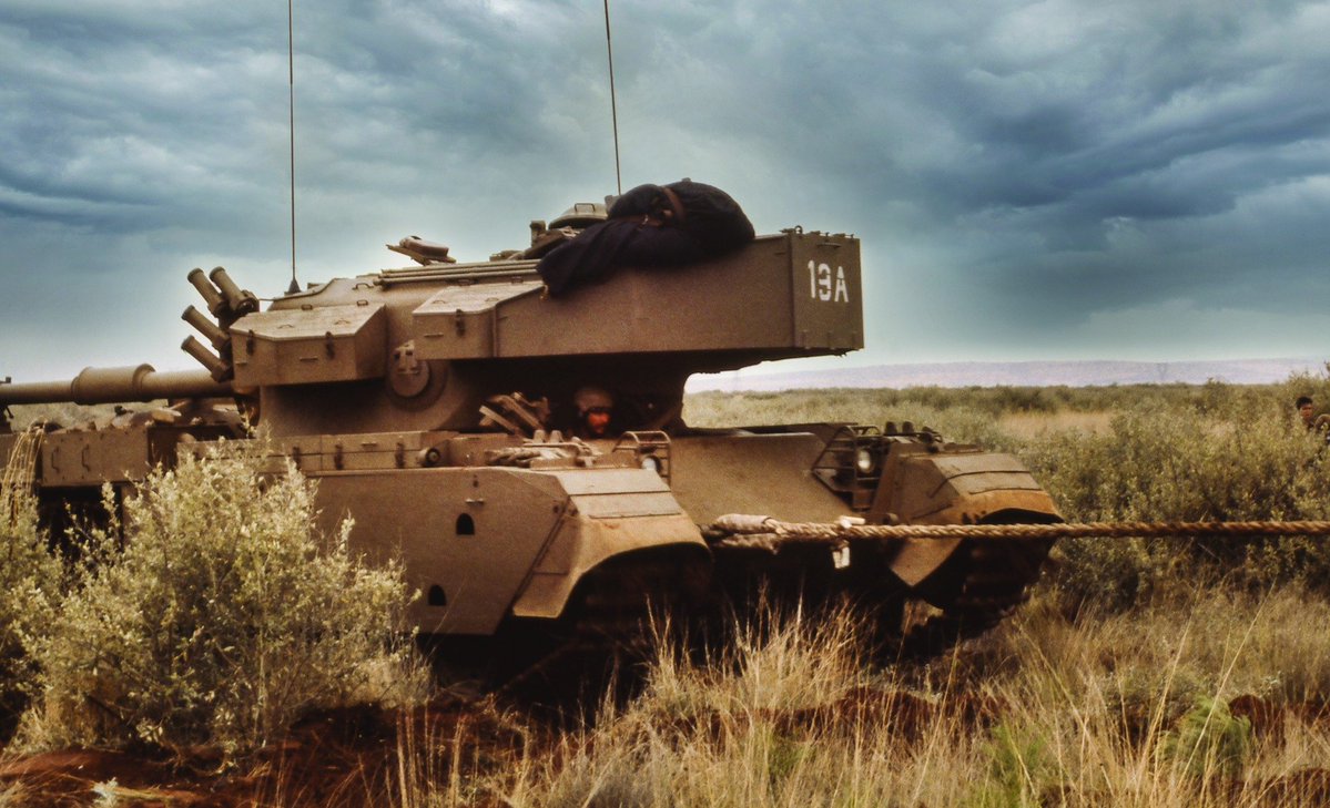 Mike the Warthog tweet media