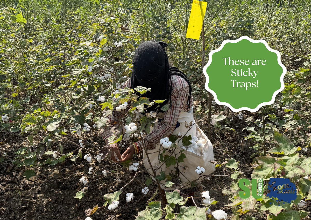 KoolSkools tweet media