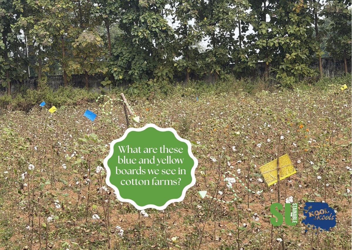 KoolSkools tweet media