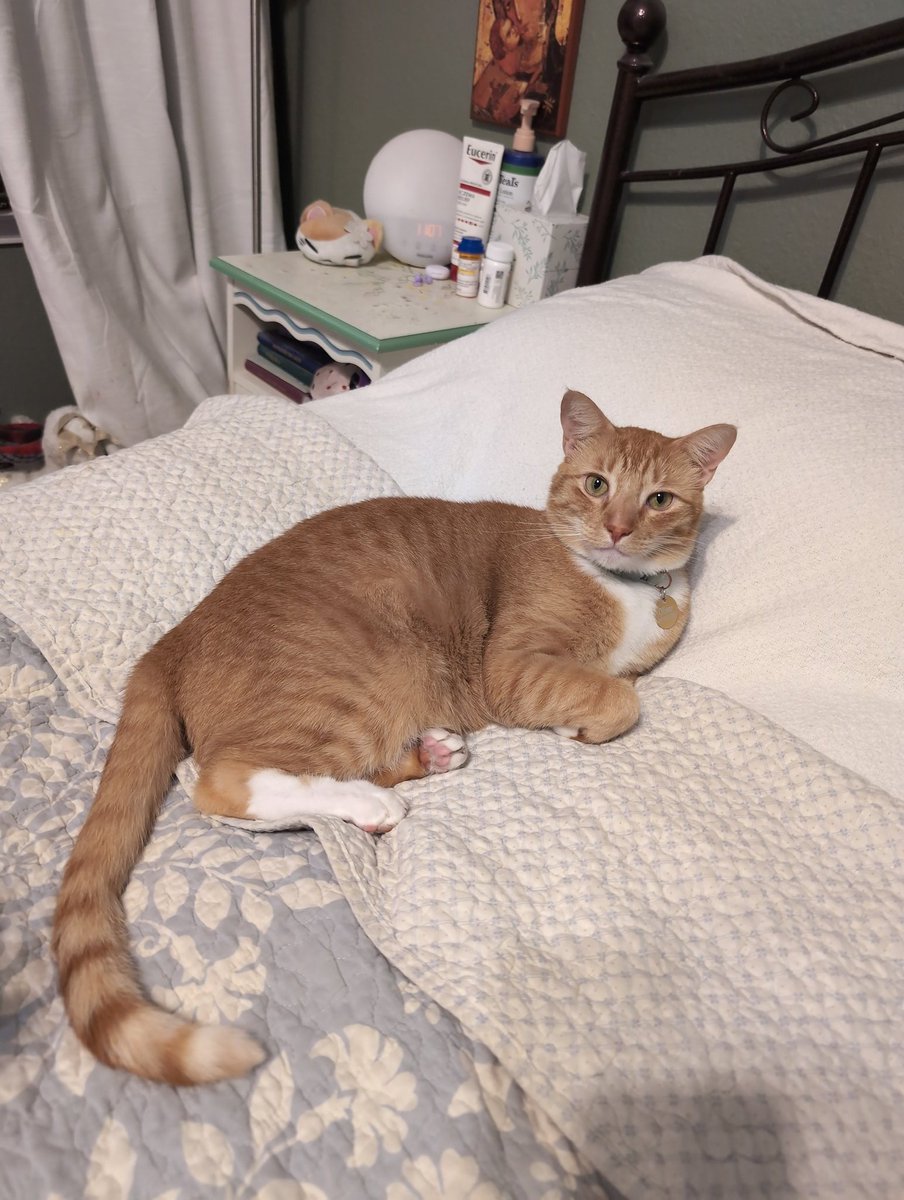 Ginny 🌸 tweet media