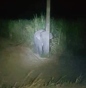 อน.มัมมี๊จ๋องวอน💗 tweet media