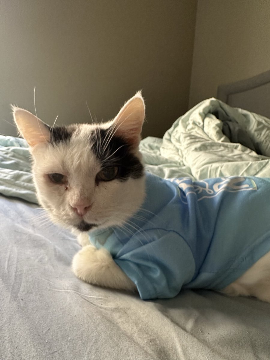 💔🌈 Angie & Ben 🐾 & Poppy tweet media