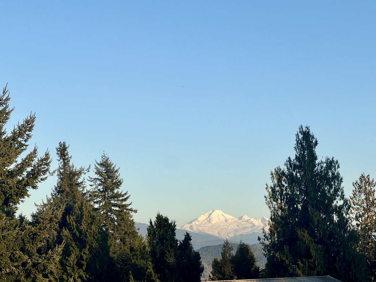 ☕️ልጠልክ ‏امن ਅਮਨ 🍷🐾11:11 ✨ tweet media