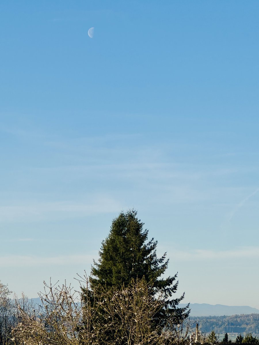 ☕️ልጠልክ ‏امن ਅਮਨ 🍷🐾11:11 ✨ tweet media