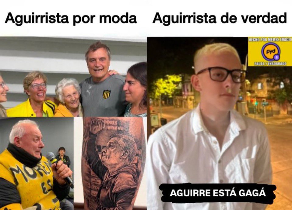 elfelidelcap tweet media