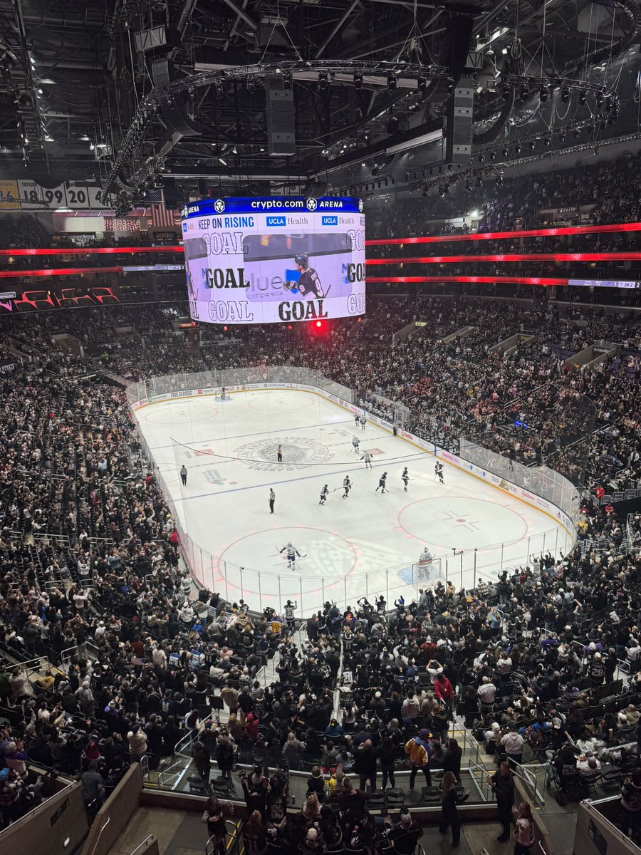 Firminus Callixtus tweet media