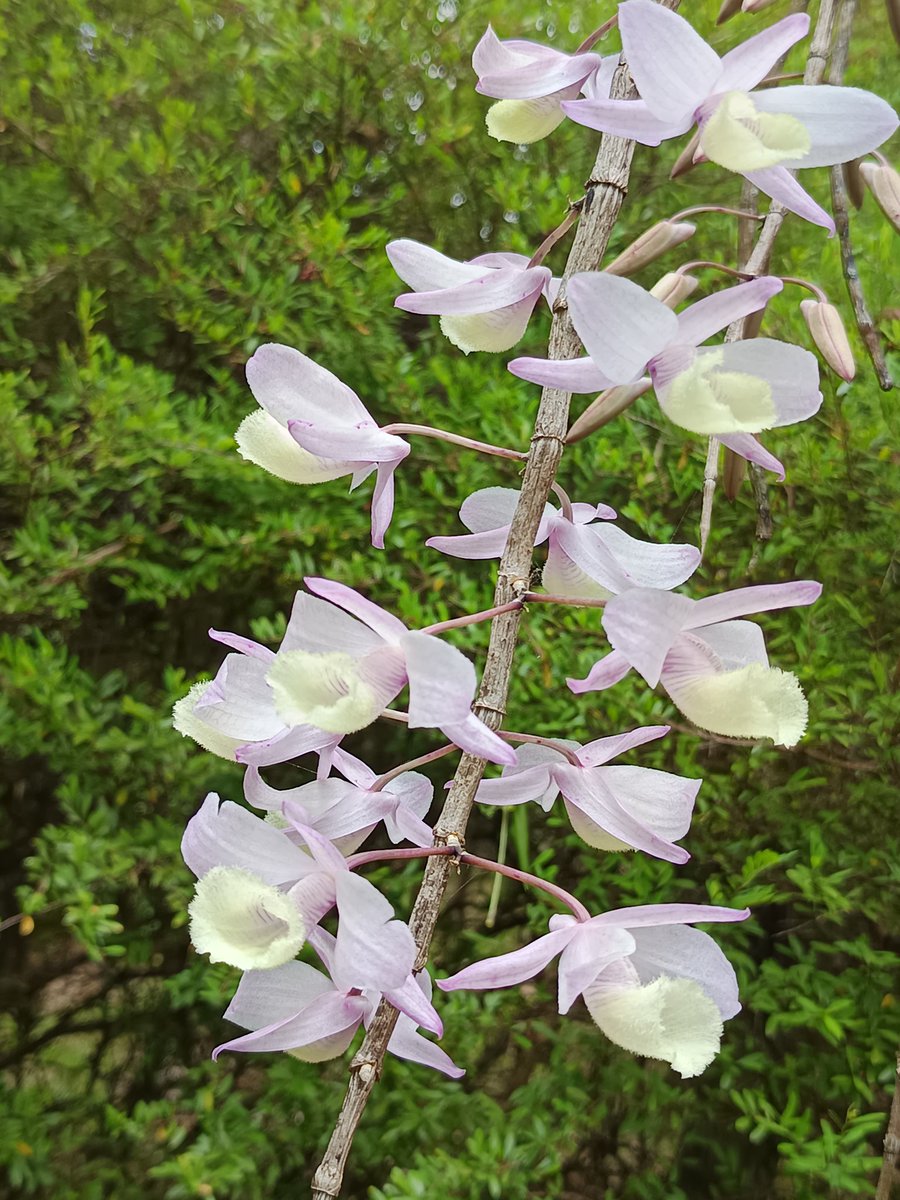 🍁SJ📚 tweet media