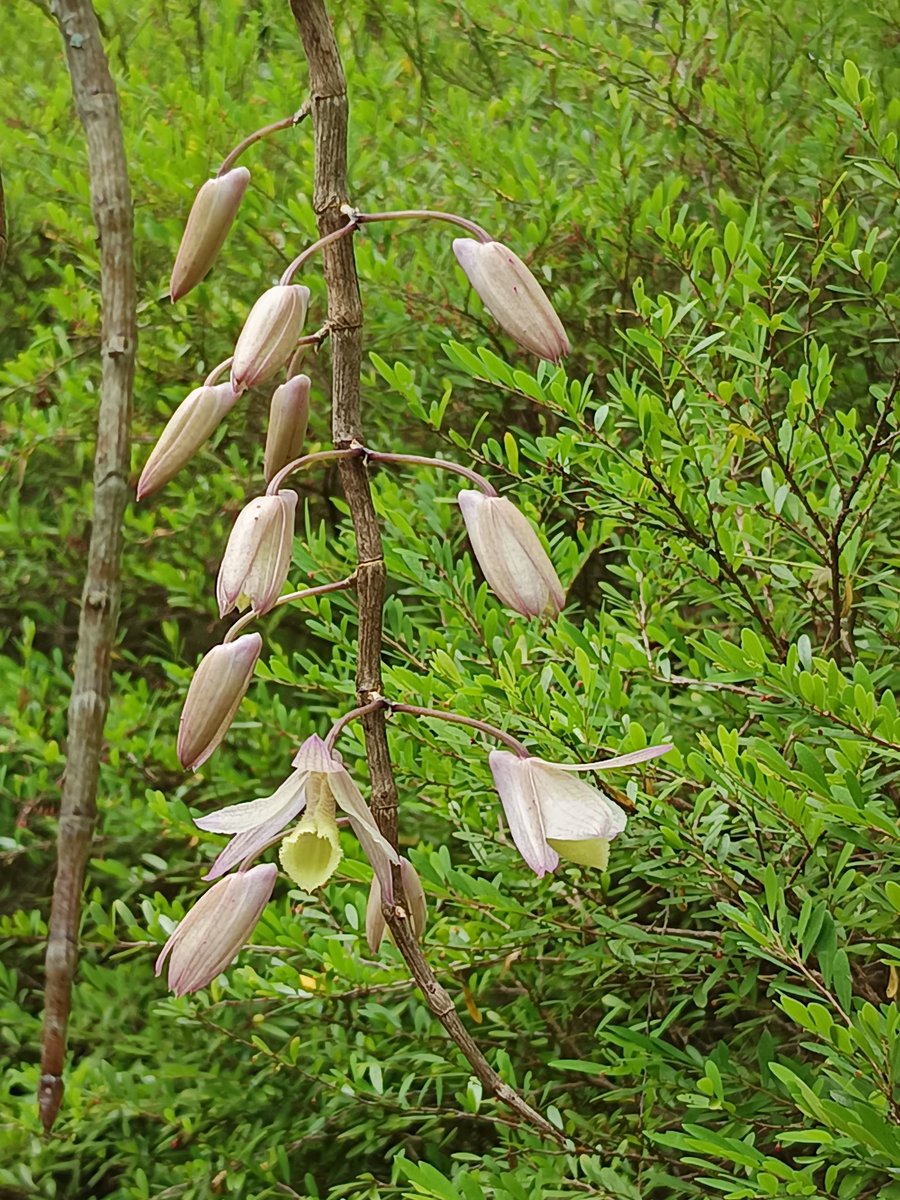 🍁SJ📚 tweet media